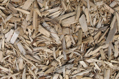 biomass boilers Pantymwyn